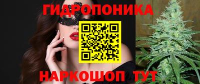 молекула духа Сланцы