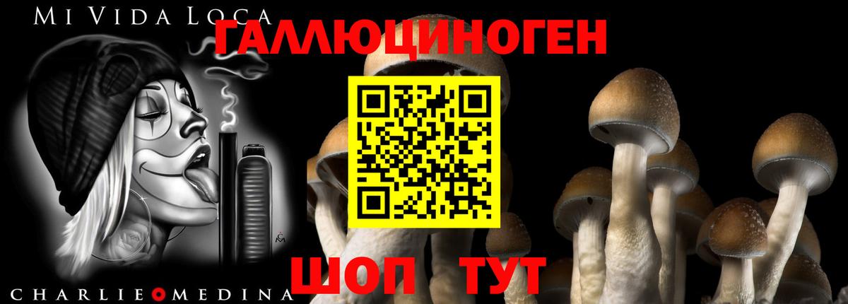 Галлюциногенные грибы Magic Shrooms Ярославль